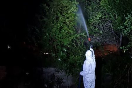 سم‌ پاشی درختان قم با اولویت استفاده از سموم کم‌ خطر و ارگانیک