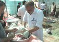 نظارت بهداشتی و شـرعی بر روی ۲۲۰۸ عدد لاشه استحصالی از ذبـح دام در روز عیـد سعیـد قــربان