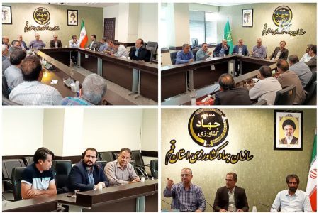 جلسه هماهنگی ساماندهی شبکه توزیع تخم‌مرغ در قم/ تأکید بر شفافیت بازار و مدیریت قیمت‌ها